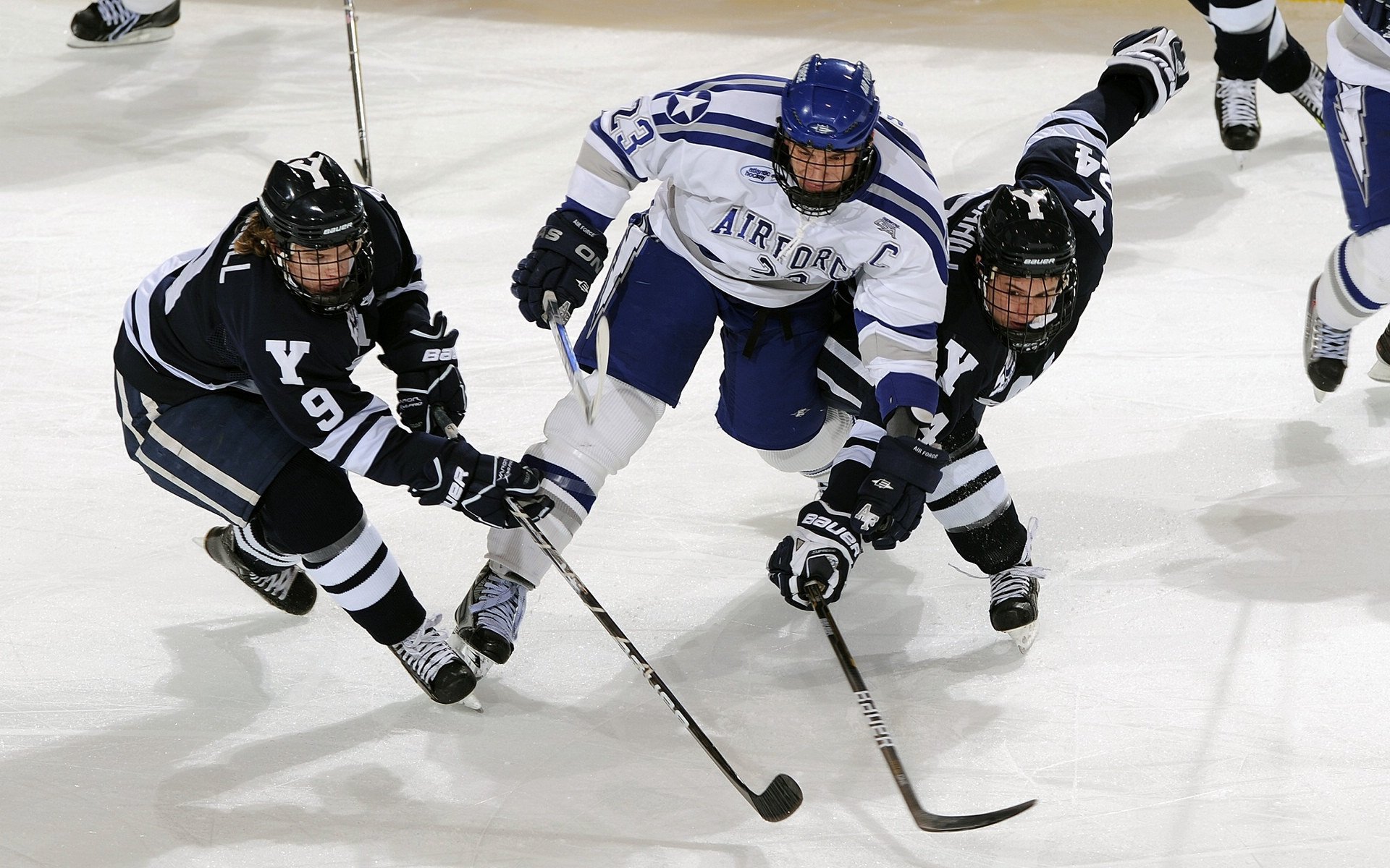 华体会体育登录-未来联盟推行“绿色赛场”，环保理念深入人心，绿色未来是什么意思
