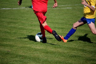 华体会体育登录-NBA球员训练计划优化设计，nba运动员训练计划