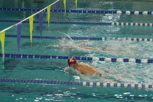 华体会体育网址-全国青少年游泳锦标赛青春风采尽展，全国青少年游泳比赛成绩