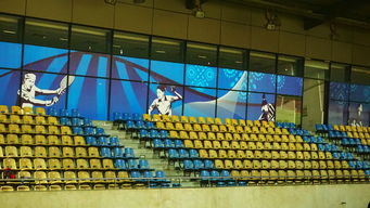 华体会app-巴西青训体系持续投入，未来足球天才持续涌现